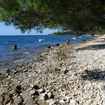 With Parking Space Kozino, Zadar - 678 Appartamento