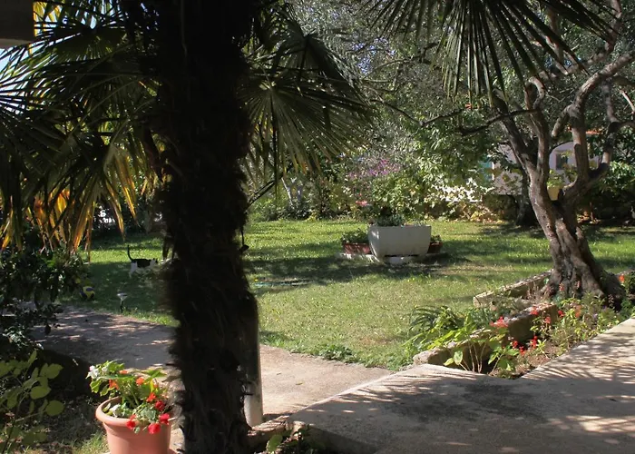 Apartman Apartments With Parking Space Kozino, Zadar - 678 *