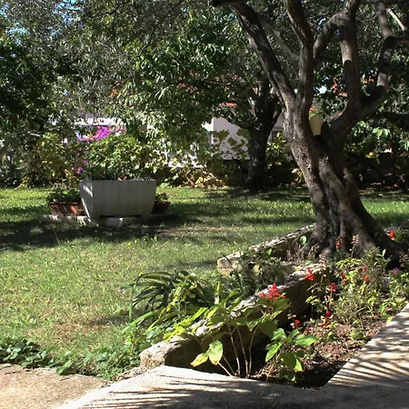 Apartments With Parking Space Kozino, Zadar - 678